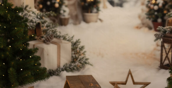 Weihnachts-Shooting